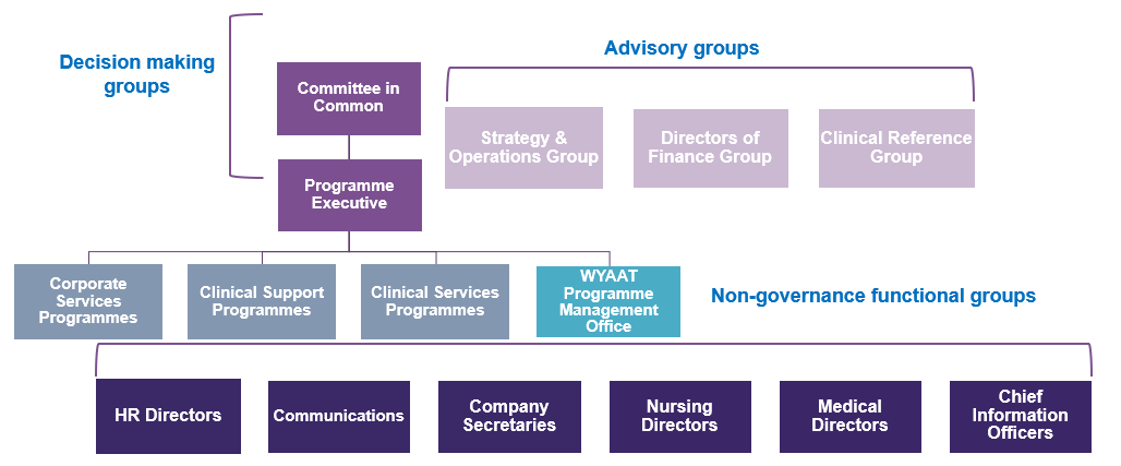 WYAAT governance structure.PNG